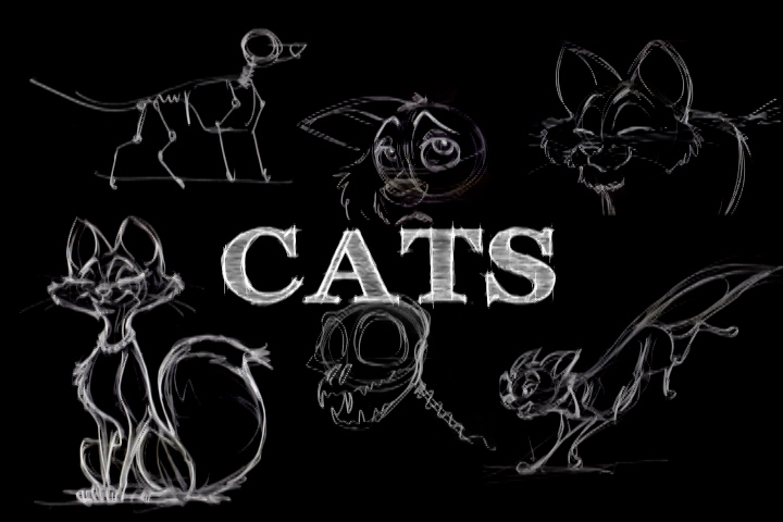 How to draw Cartoon Cats.